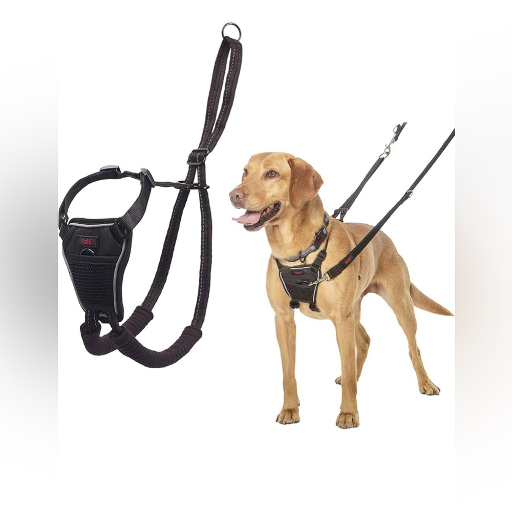 3/$15 NWT Halti No Pull Harness Size Medium Makes Walking Easy - Picture 6 of 9
